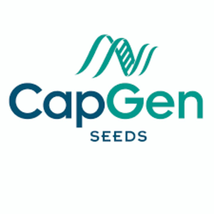 CapGen