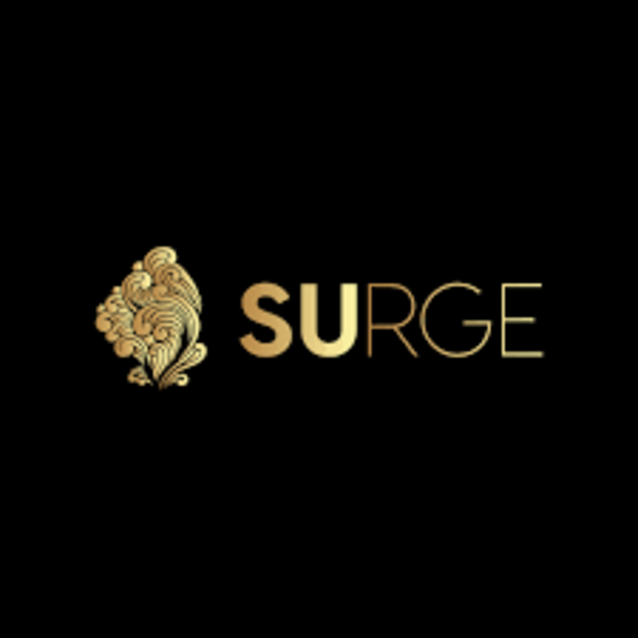 Surge Marketplace